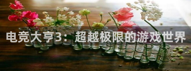 多宝电竞(体育)官方网站：电竞大亨3：超越极限的游戏世界