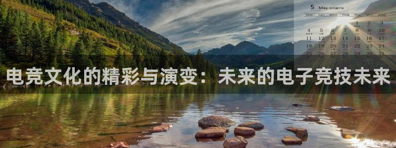 多宝电竞：电竞文化的精彩与演变：未来的电子竞技未来