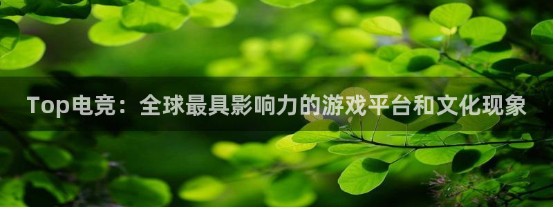 多宝电竞有名嘛：Top电竞：全球最具影响力的游戏平台和文化现象