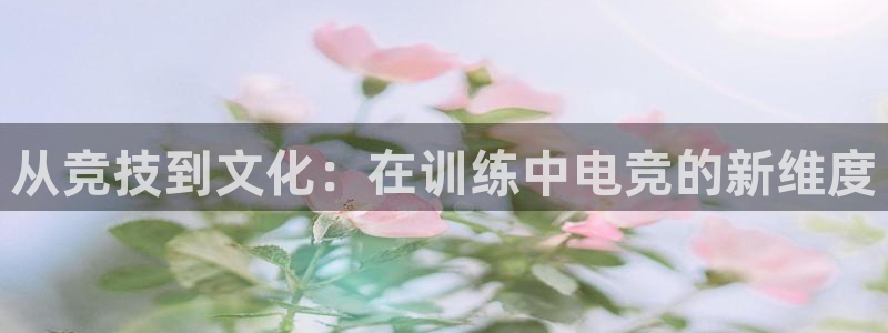 多宝电竞|Home：从竞技到文化：在训练中电竞的新维度