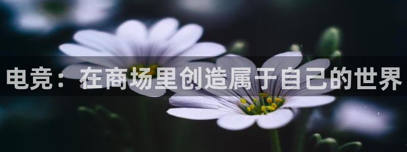DB多宝电竞：电竞：在商场里创造属于自己的世界